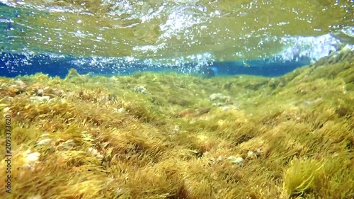 Ocean blue underwater with sunrays, Underwater Sea Deep Water Abstract Sunshine, sea wave , clean waters in summer time, Natural underwater seascape, sand on ocean floor and water surface sunlight.