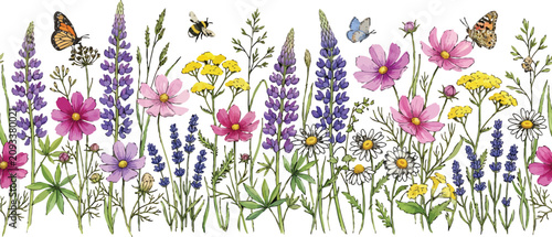 Watercolor wildflower meadow border with blooming lupine cosmos and butterflies isolated on a white background vector illustration