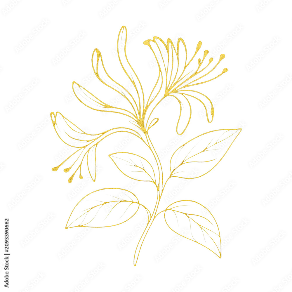 Obraz premium PNG Elegant golden floral illustration.