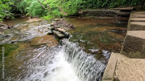 Stepping stones span a woodland waterfall as water flows gently beneath. Captured in a static shot, the peaceful scene highlights the natural charm of the forest stream and rocky crossing.