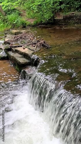 Stepping stones cross a woodland waterfall as water flows gently beneath them. A static camera shot captures the peaceful stream, mossy rocks, and lush forest surroundings in a serene natural setting.
