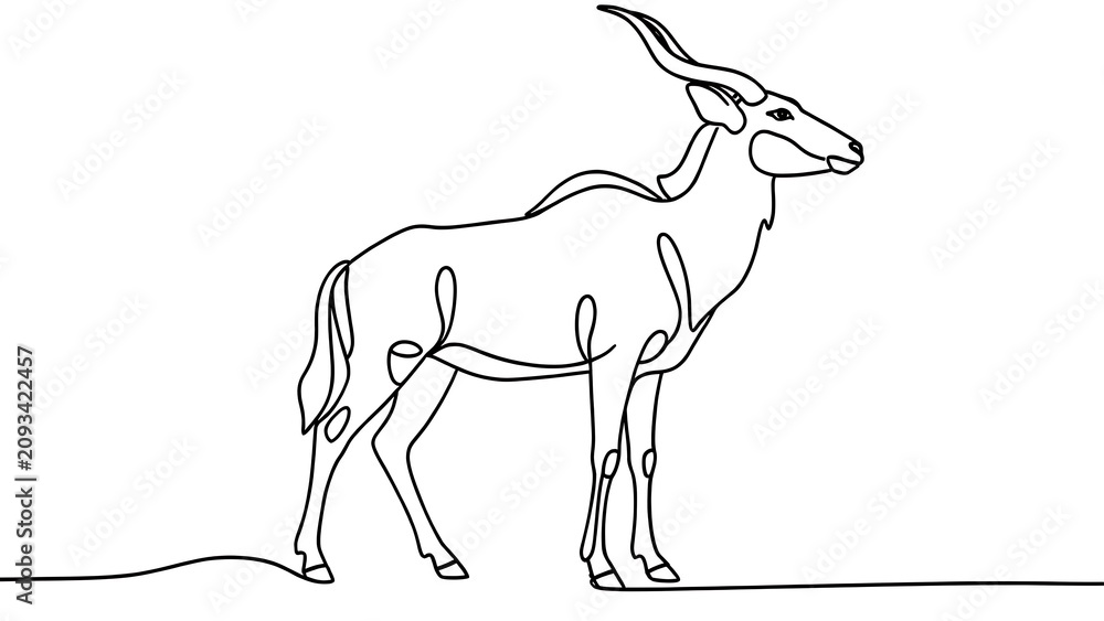 Fototapeta premium Eland antelope line drawing white background.