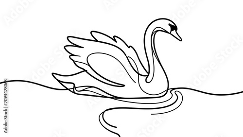Elegant swan illustration on white background.