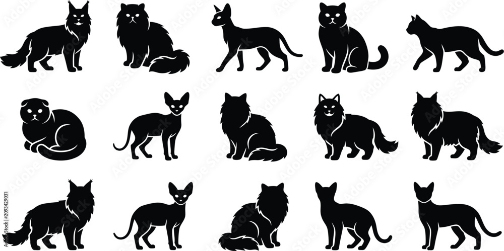 Fototapeta premium Collection of domestic cat silhouettes showing various breeds and poses for pet lovers and art print.
