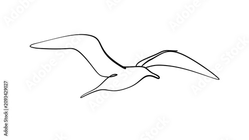 Minimalist seagull line art illustration white background.