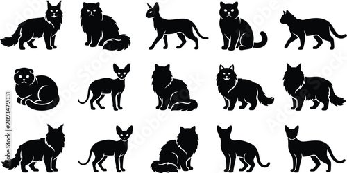 Bild auf Leinwand Collection of domestic cat silhouettes showing various breeds and poses for pet lovers and art print