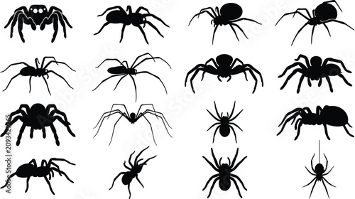 Fotografie Different spider silhouettes collection in various poses isolated on transparent background graphics