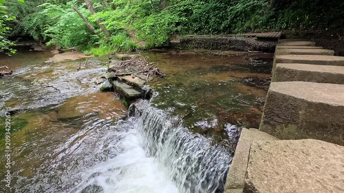 Stepping stones cross a woodland waterfall as water flows gently beneath. Captured in a slow-motion static shot, the scene highlights mossy rocks, flowing water, and the peaceful beauty of the forest.