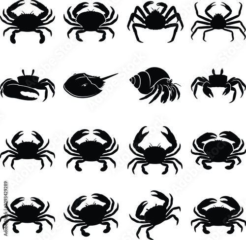Photos Vector silhouette of various crab species and crustaceans isolated on transparent background graphic