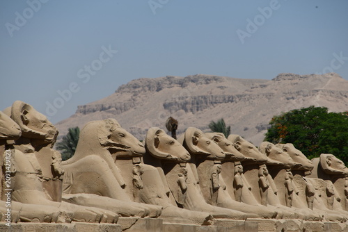 monument in the desert