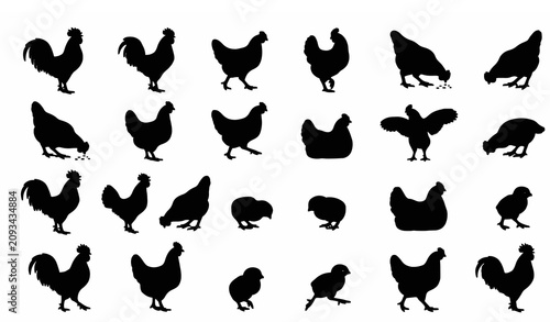 Rooster and Hen Silhouette Vector Collection Farm Poultry Black Icons