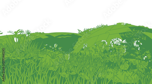 Ilustração vetorial estilizada de um campo verde com grama, flores silvestres e colinas suaves, apresentando um design plano e minimalista com espaço de cópia no topo.