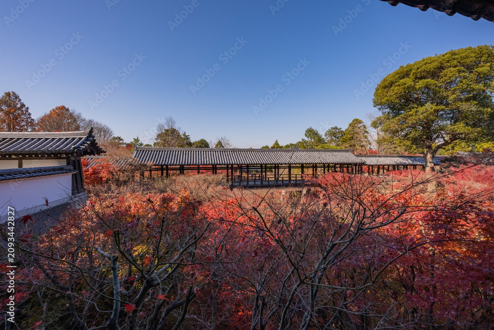 Obraz premium 紅葉に包まれた秋の京都東福寺通天橋