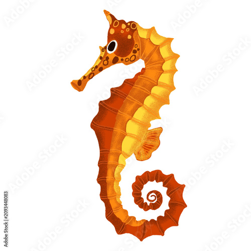 Orange Seahorse Hand Drawn Tropical Marine Animal