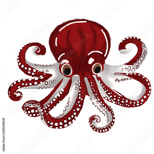 Red Octopus Hand Drawn Marine Animal Illustration
