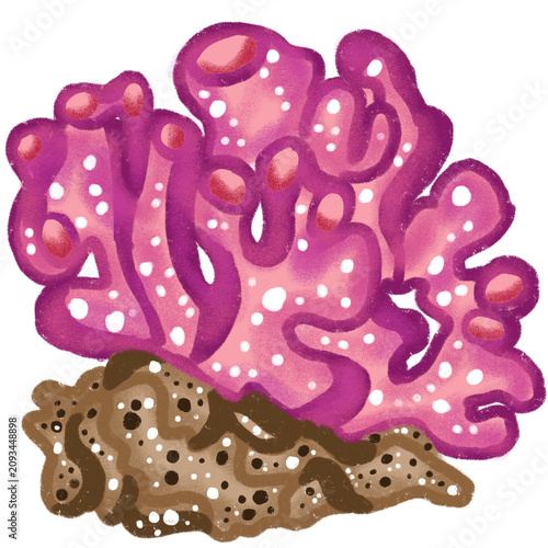 Cute Pink Coral Reef Illustration with Ocean Rock Hand Drawn Marine Decoration