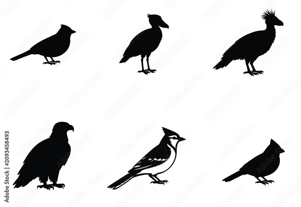 Fototapeta premium Bird Silhouette Vector Collection