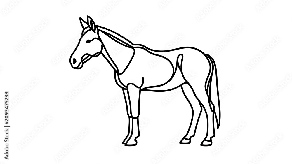 Obraz premium Simple line drawing of a horse white background.