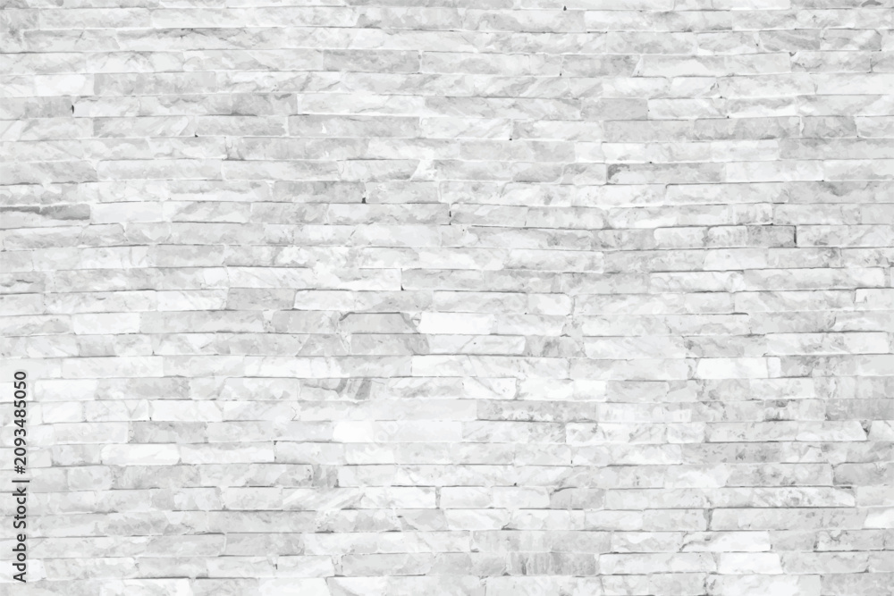 Fototapeta premium A White Granite Background is a vector background file