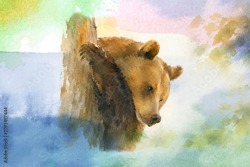 Colorful watercolor illustration of a cute bear hiding behind a tree. Whimsical woodland animal art for children's books, nursery decor, greeting cards, educational materials and creative projects.