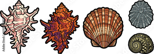 Foto Detailed Sea Shell Vector Icon Set Featuring Scallop Spiky Murex Limpet and Spir