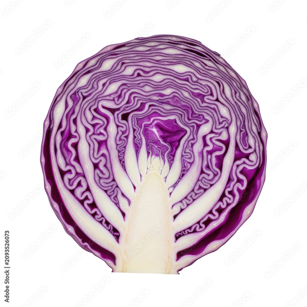 Obraz premium A cross-section of a fresh red cabbage head showing intricate purple and white concentric leaf layers, isolated against a solid black background