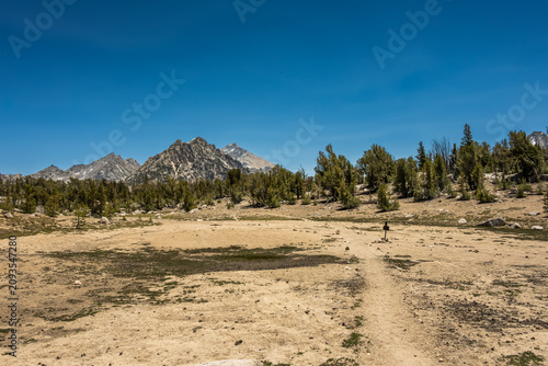 Принти на полотні Desolate Intersection For Charlotte Lake In Kings Canyon