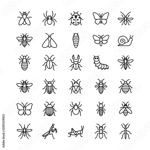 Minimal Insect & Bug Line Icon Set for Nature, Entomology and Biology.