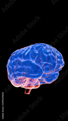 Electrically active neurons firing in complex brain network, highlighting communication signals, memory mapping and advanced neuroscience research – 3D Rendering