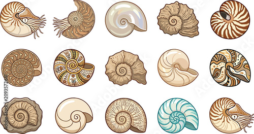 Tableau sur toile Nautilus shell and ammonite fossil vector set featuring detailed marine mollusks
