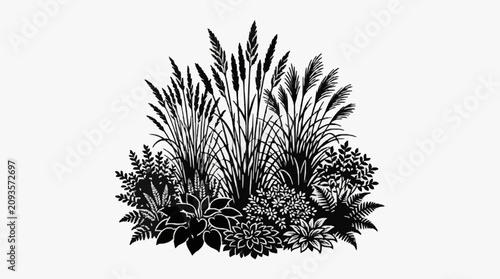 Fotografie Detailed black and white illustration of wild grasses and plants.