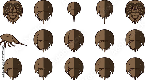 Canvastavla Horseshoe crab vector illustration set featuring marine arthropod species, prehi