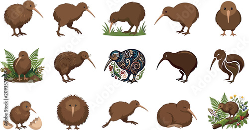 Fotografie Kiwi bird vector illustration set featuring various flightless animals, ornate t