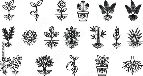 Botanical Plant Roots and Growth Stages Line Icon Set with Sprout Flower Cactus Tree and Agriculture Crop Symbols for Gardening