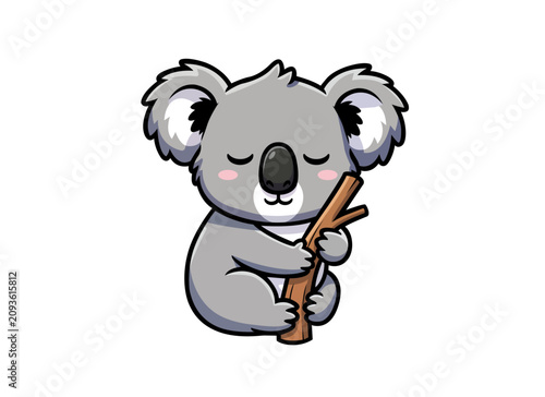Photography Cartoon Koala Sleeping