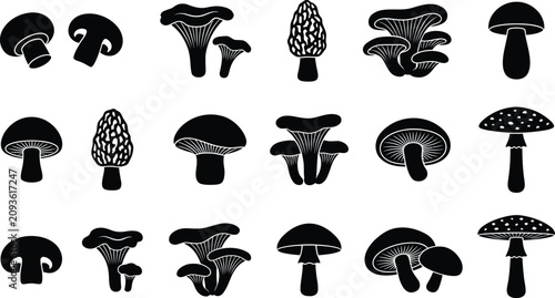 Schilderij op canvas Collection of black silhouette mushroom including champignon, chanterelle, morel