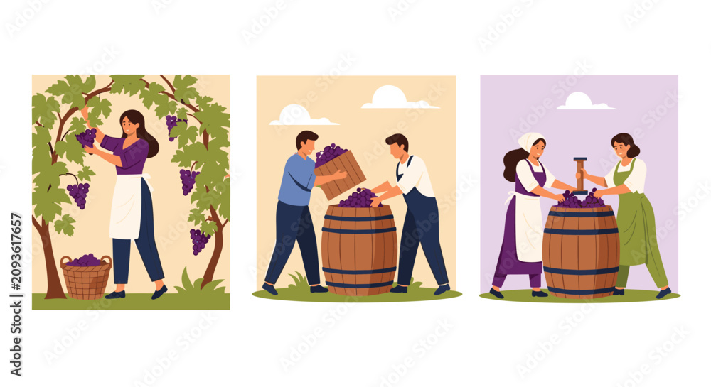 Obraz premium Collection of scenes showing agricultural workers harvesting ripe grapes and preparing them for the wine making process.