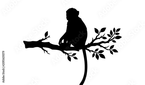 Canvas Print Black Monkey on Tree Branch Silhouette Vector Illustration Isolated on White Bac
