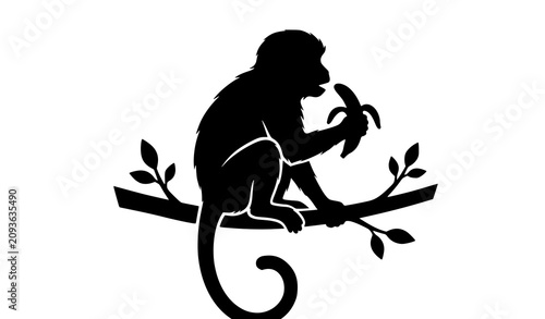 Photography Black Monkey Eating Banana Silhouette Vector Illustration Isolated on White Back