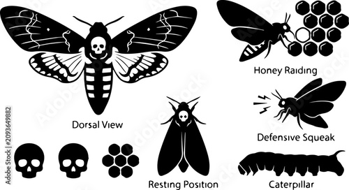 Konstfotografi Death's Head Hawkmoth Silhouette Set – Skull Moth, Dorsal View, Resting Position