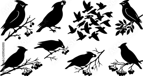 Photos Crow and Raven Bird Silhouette Set – Flock, Perching, Flying Black Bird, Wildlif