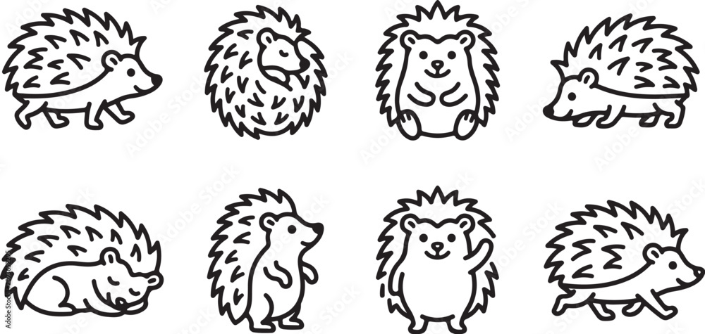 Obraz premium Cartoon hedgehog illustrations in different poses
