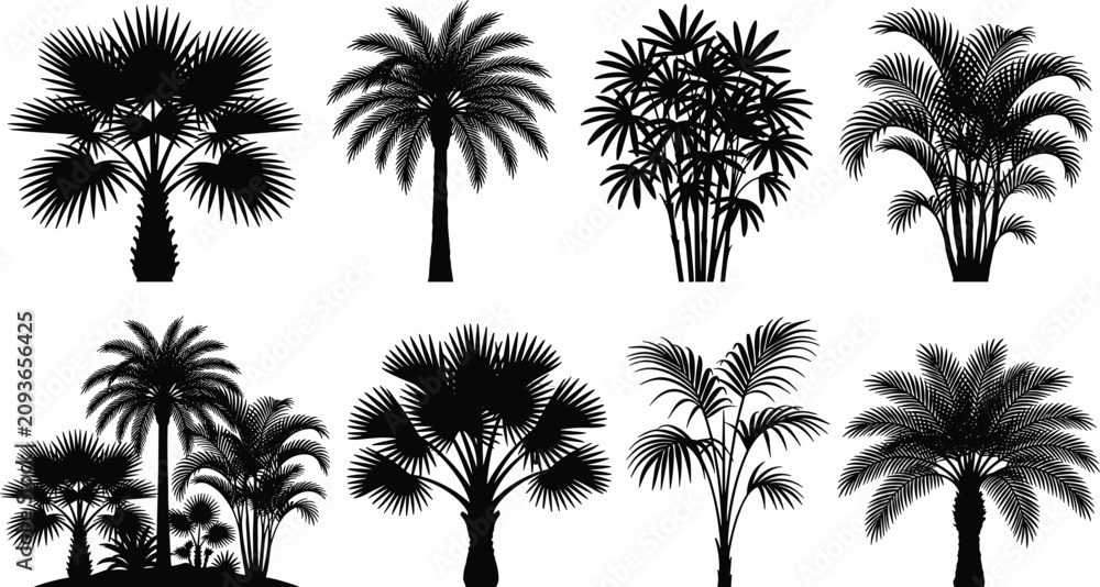 Naklejka premium Tropical Palm Tree Silhouette Collection Isolated on White Background for Vector Design