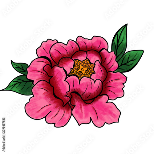Beautiful peony flower illustration with gouache brush texture on white background.