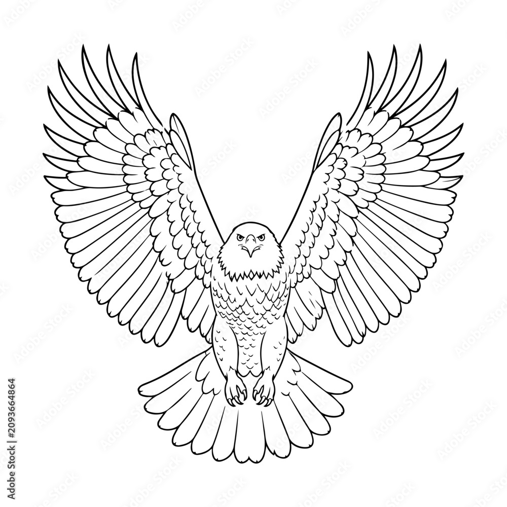 Fototapeta premium Majestic Bald Eagle Line Art Outline – Flying Eagle Vector