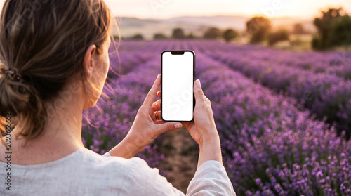 Hand holding smartphone with blank white screen in blooming lavender field at sunset, woman using mobile app for travel photography mockup, summer nature floral landscape concept.
