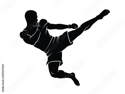 Martial Arts High Kick Action Pose