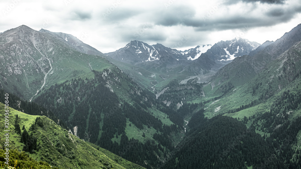 Obraz premium Landscape Kazachstan, mountain, peak, trees, blue, clubs, green, snow, 