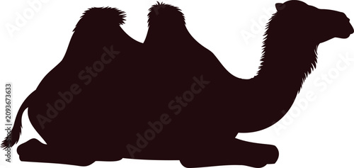 Tableau sur toile Silhouette of a sitting camel with two humps and a long neck on transparent back
