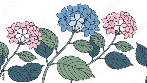 Colorful hydrangea flowers in pink and blue. Vibrant floral illustration for design projects. Botanical artwork for home decor.